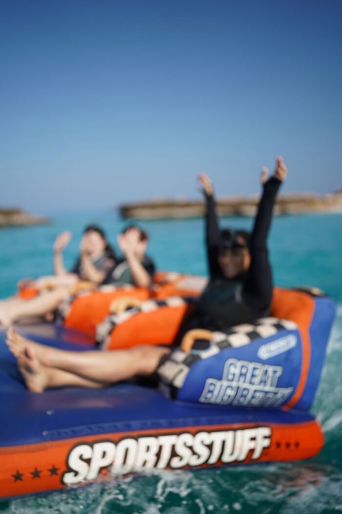 WhatsApp Image 2026-03-01 at 11.11.34 PM (2) Inflatables - الصورة 1