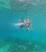 Daymaniyat Journey - Image 2